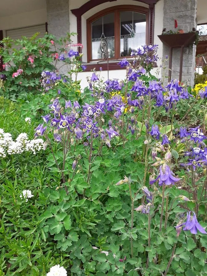 Apartment Ferienwohnung Arberblick Lam Germany