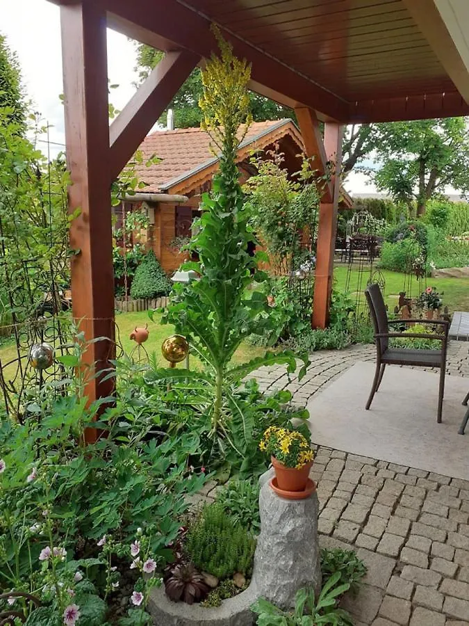 Apartment Ferienwohnung Arberblick Lam