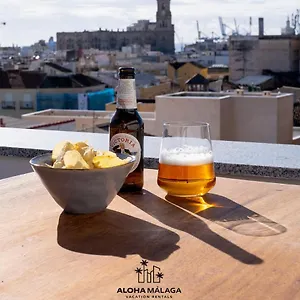 https://luxury-duplex-with-pool-and-padel-court-in-town-by-alohamlaga.es-andalucia.com